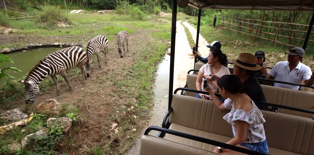 cebu safari