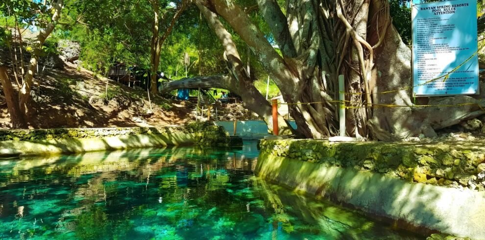 banyan spring
