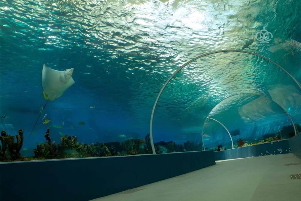 Cebu Ocean Park
