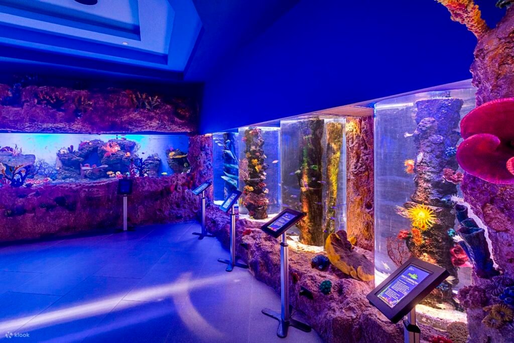 Cebu Ocean Park