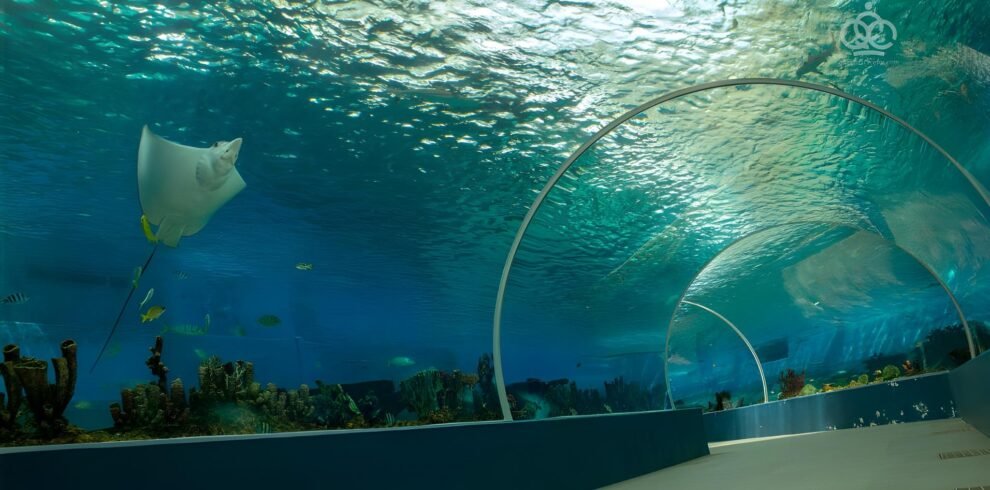 Cebu Ocean Park