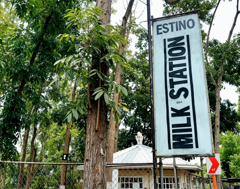Estino Milk Station