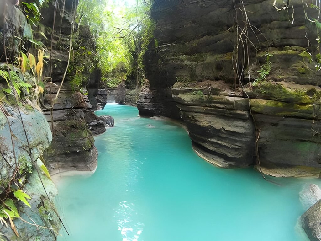 Kawasan Falls