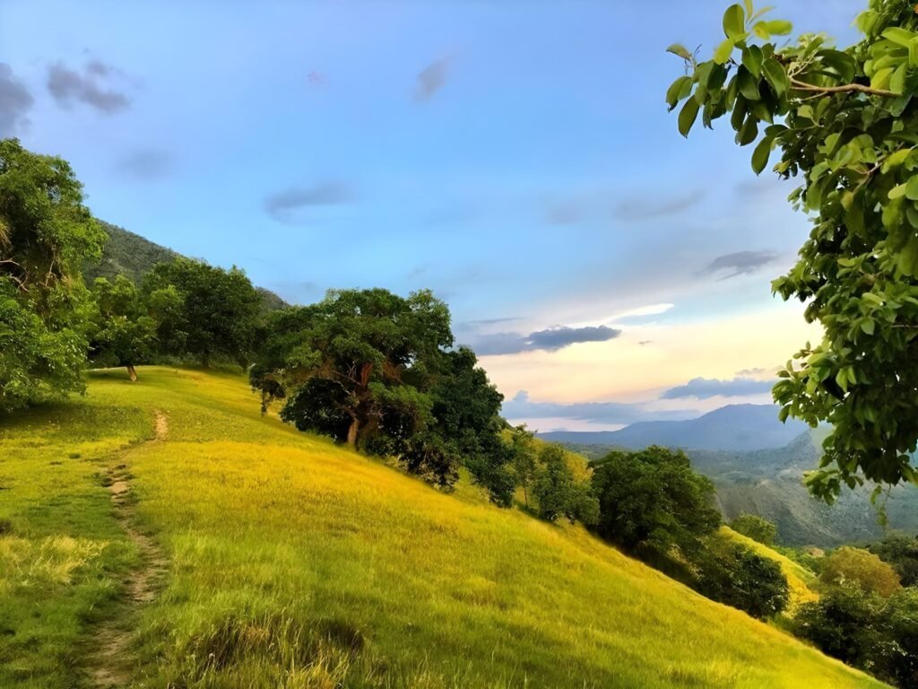 mt. lanaya