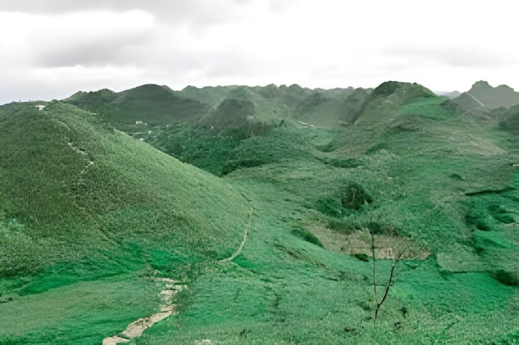 Osmeña Peak