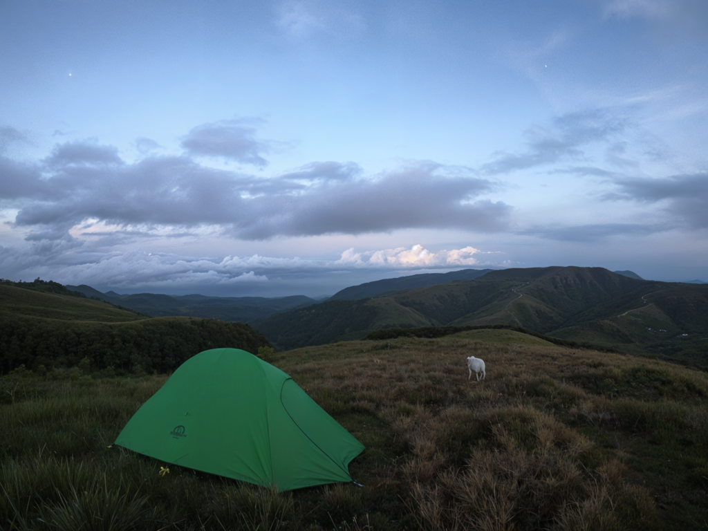 Salamanca Campsite