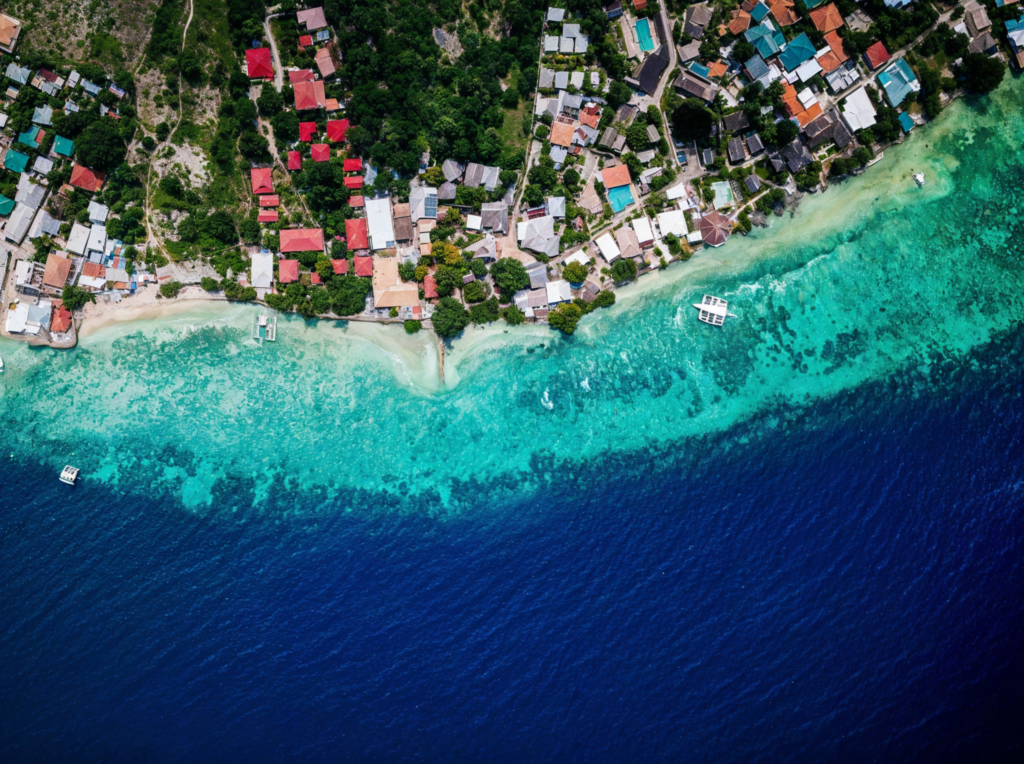 Sardines Run in Moalboal