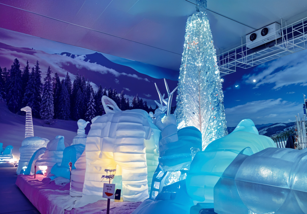 Snow World