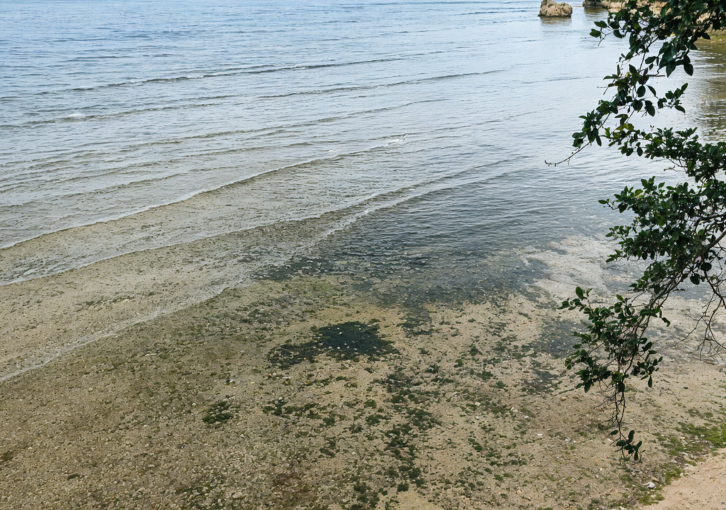 Tabique by the Sea