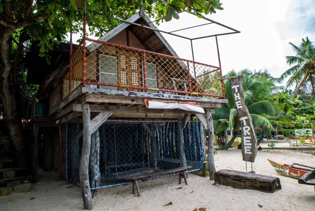 tree sunset beach resort