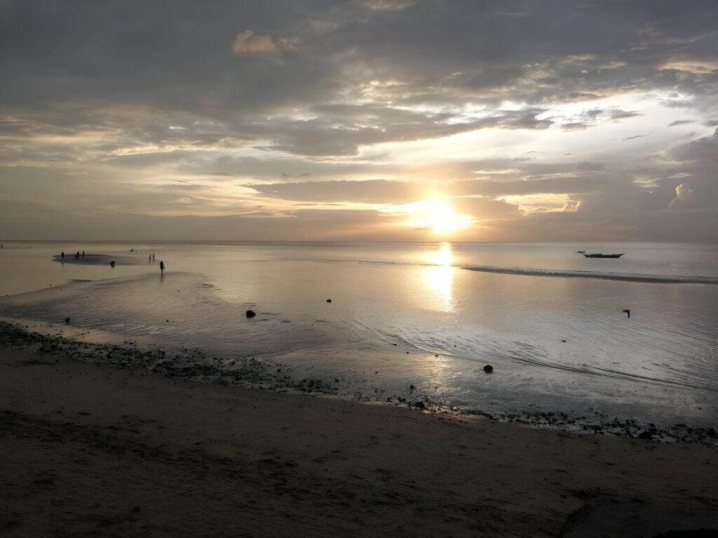 tree sunset beach resort