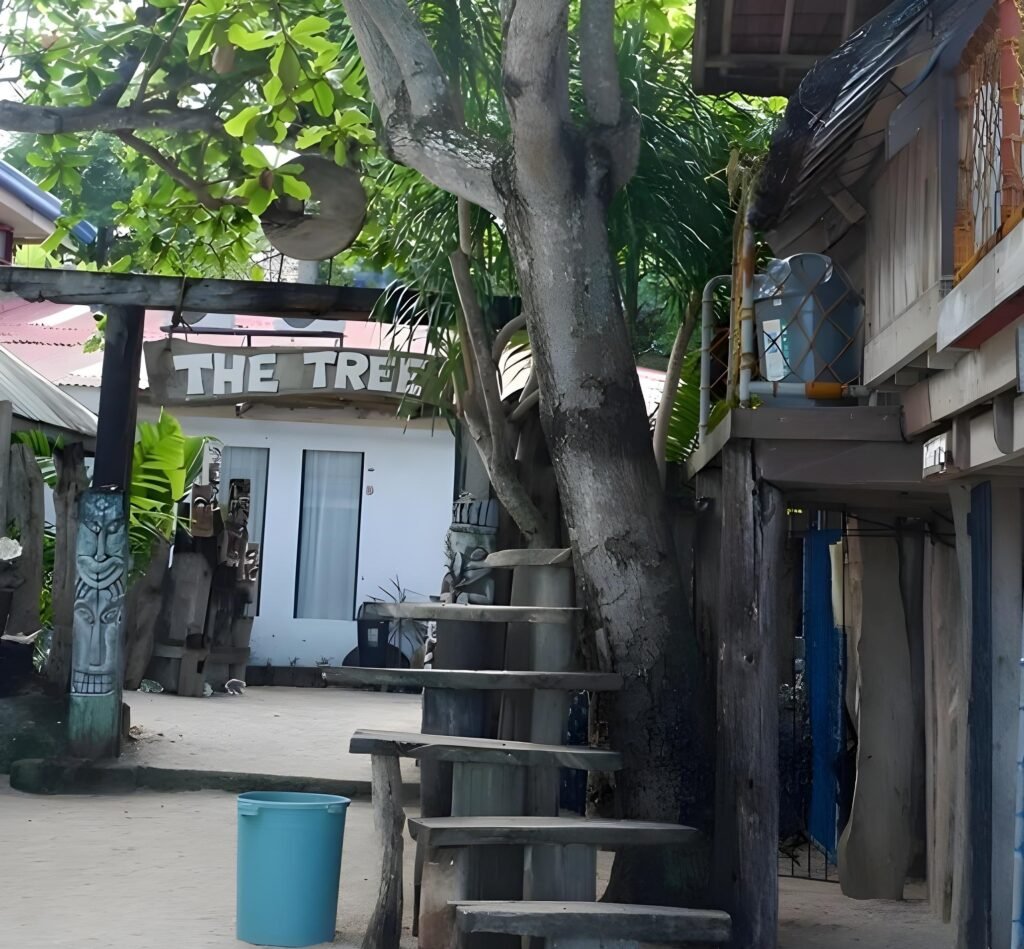 tree sunset beach resort