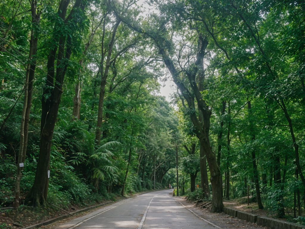 Guinabasan Man-Made Forest